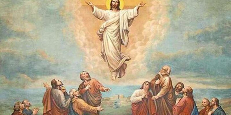 image (1)